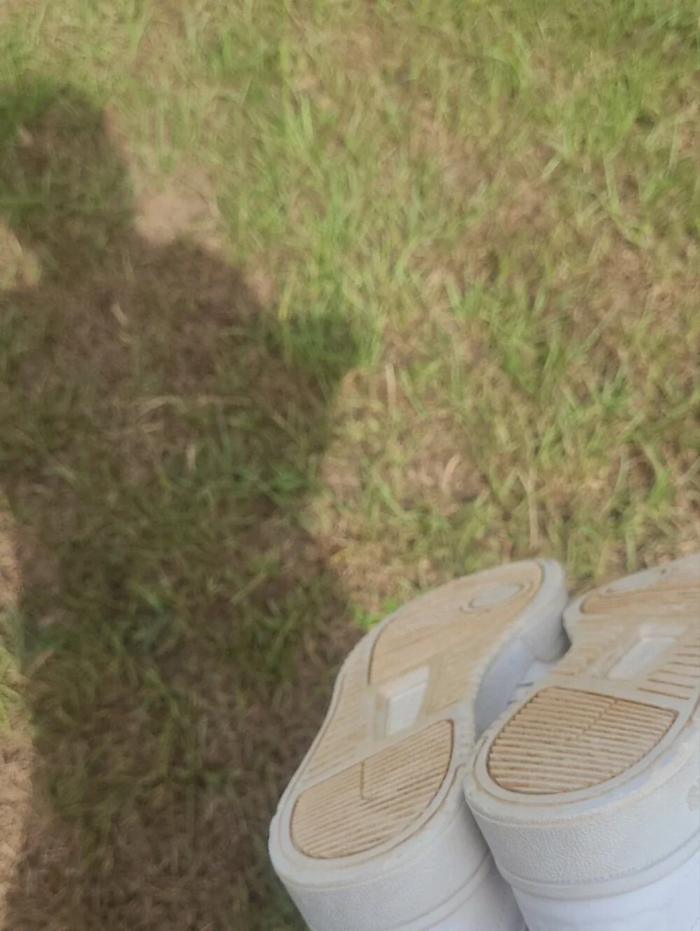 adidas women cloud